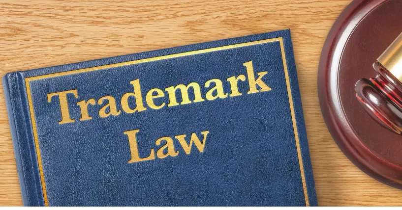 What Does a Trademark Lawyers Do & How They Can Help You